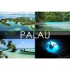 お得にパラオへハネムーン