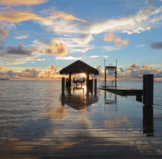 パラオダイビング